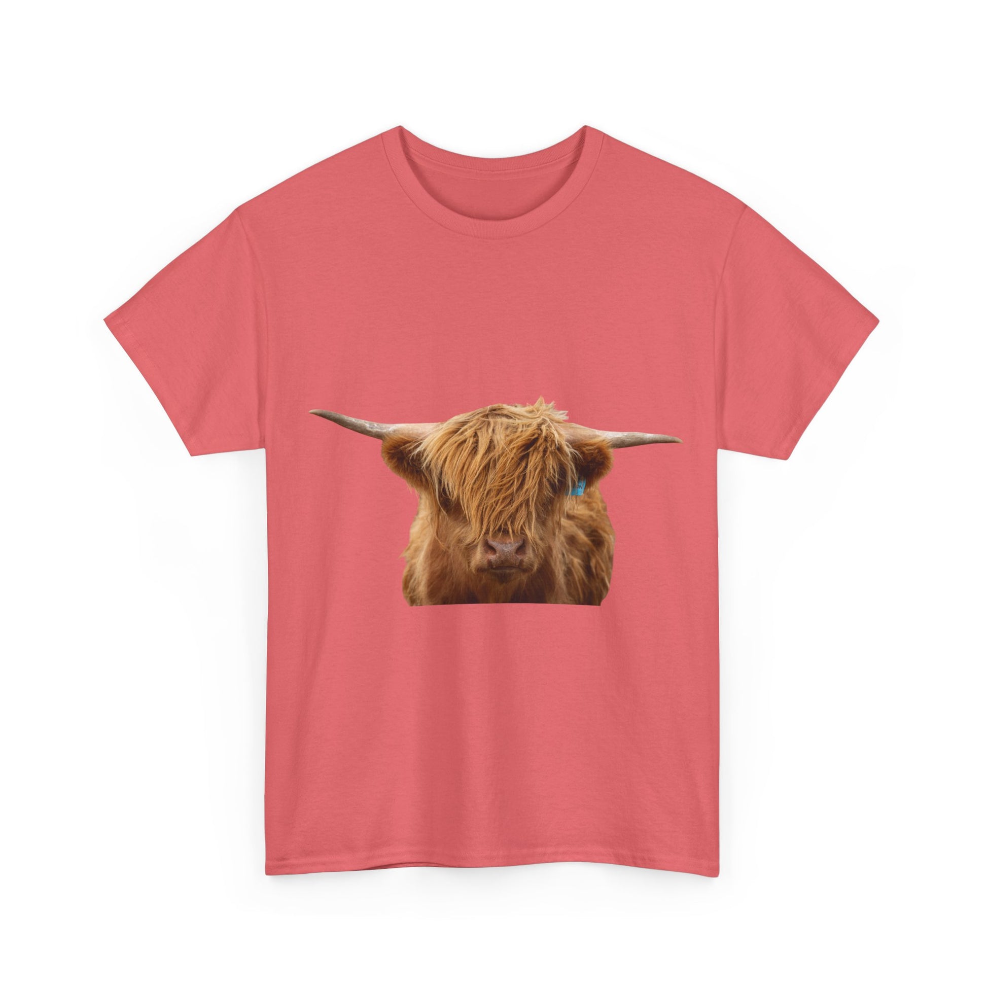 Highland Cow Tee