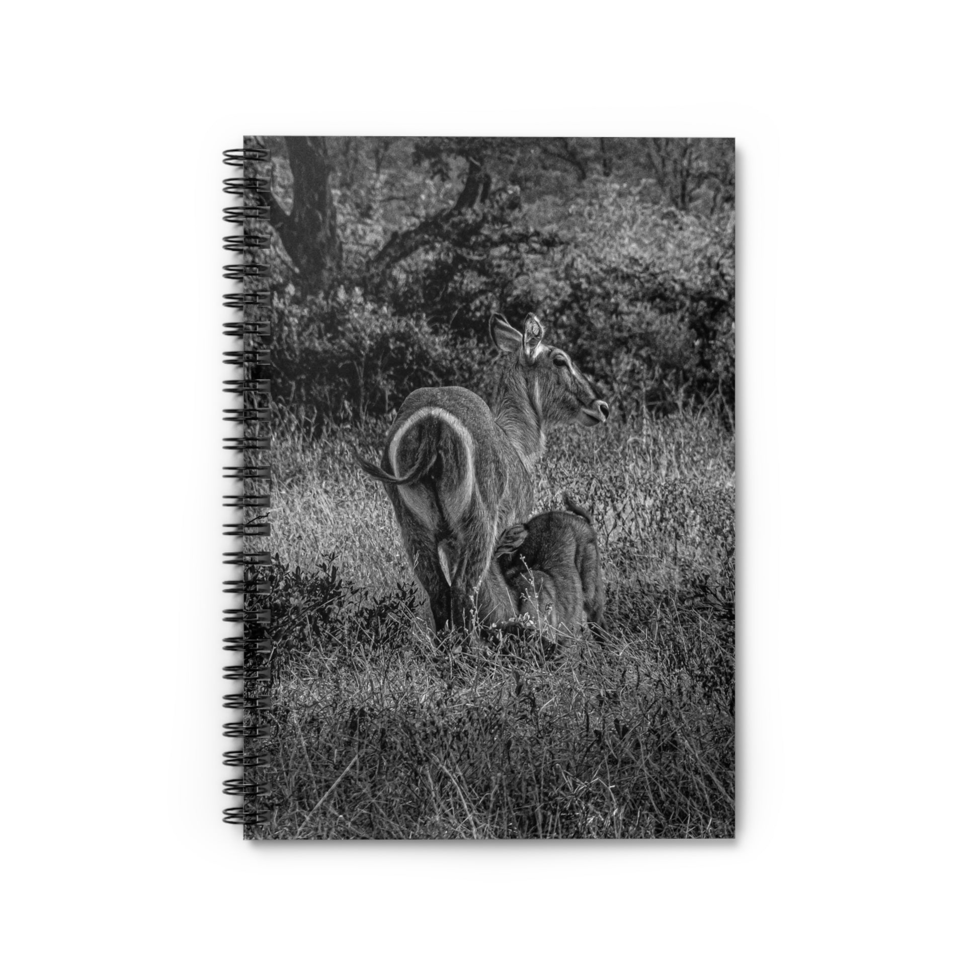 Waterbuck Baby Animal Notebook B&W