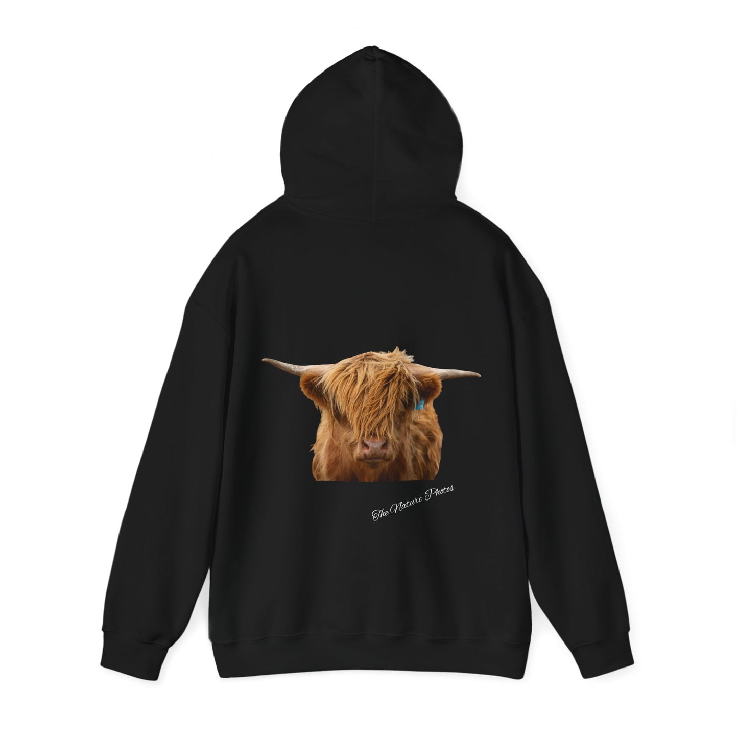 Highland Cow Hoodie Black