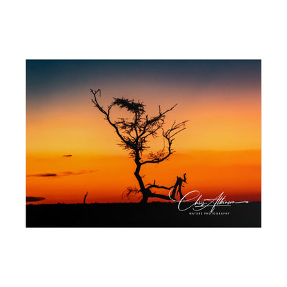 Rolled Posters - Sunset over the Kalahari