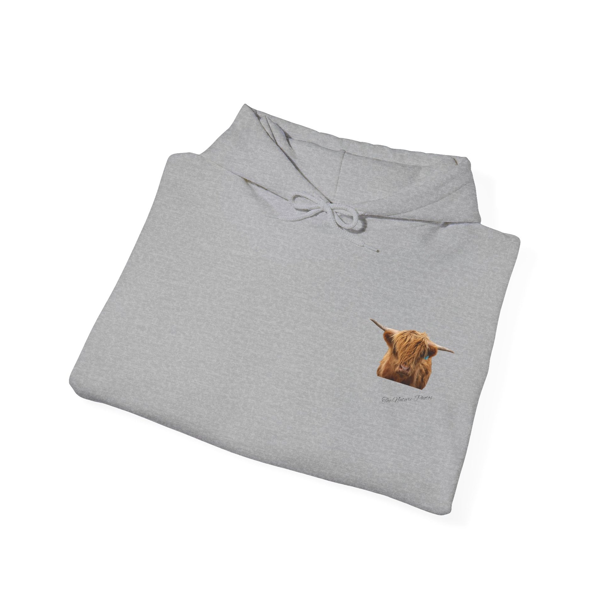 Highland Cow Hoodie