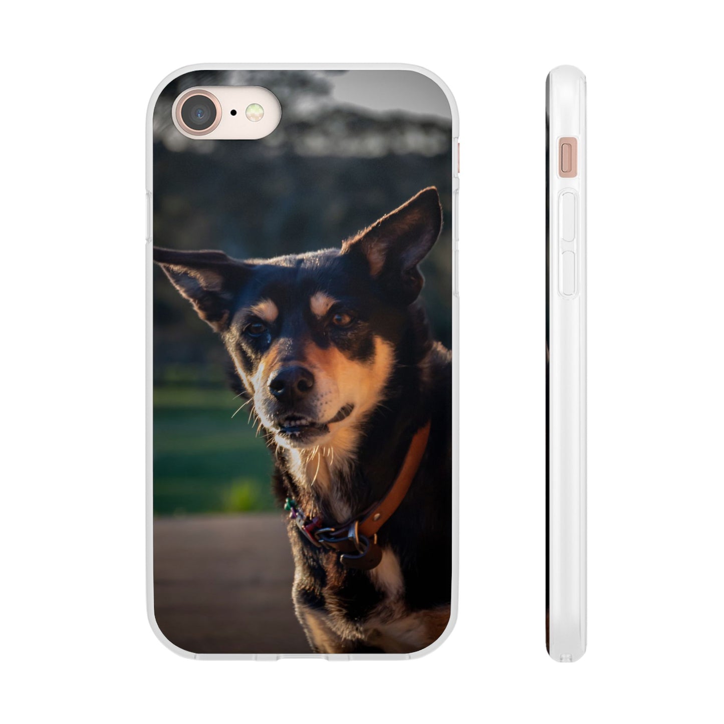 Kelpie Dog Flexi Case iPhone 8
