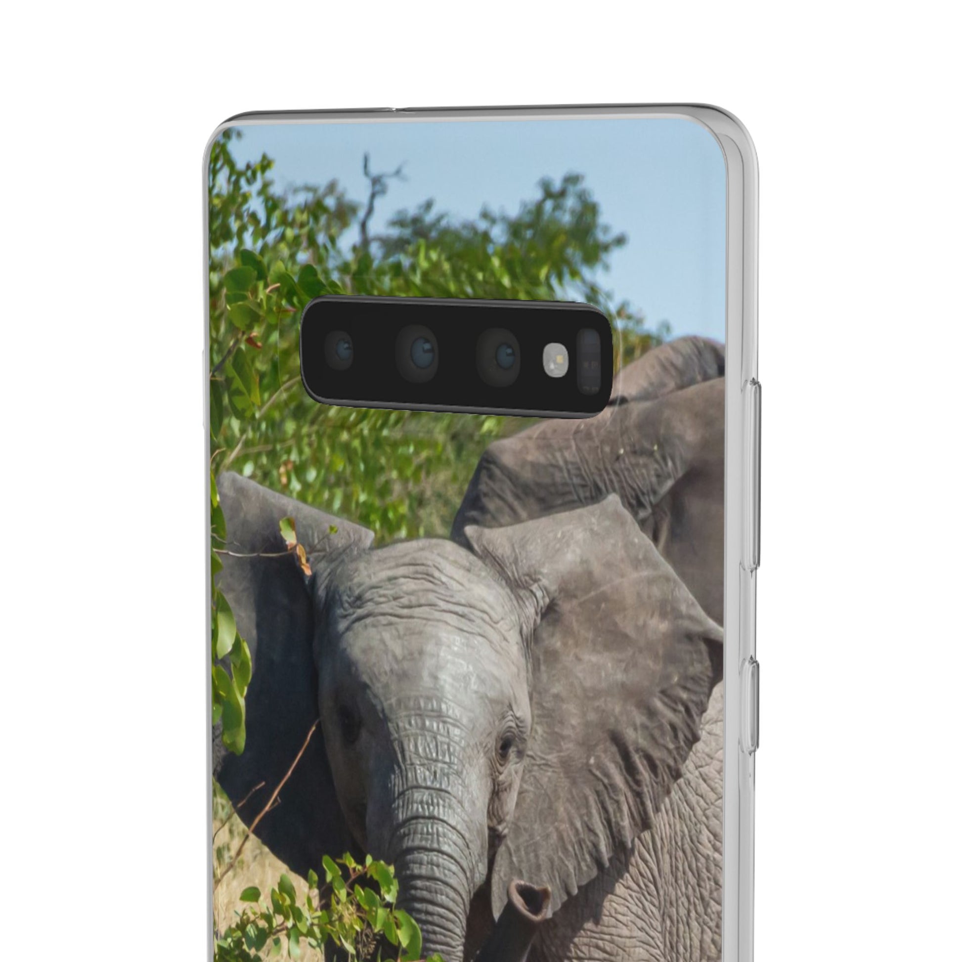 Flexi Cases - Young Elephant