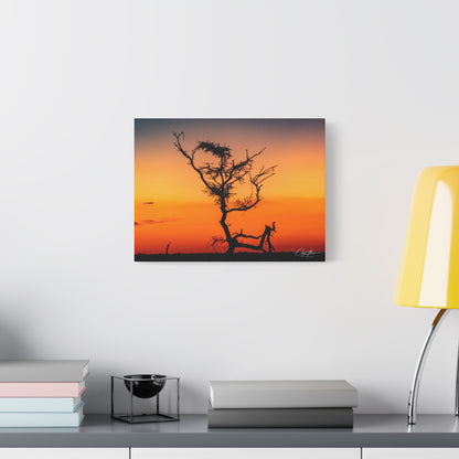 Matte Canvas, Stretched, 1.25" - Sunset over the Kalahari