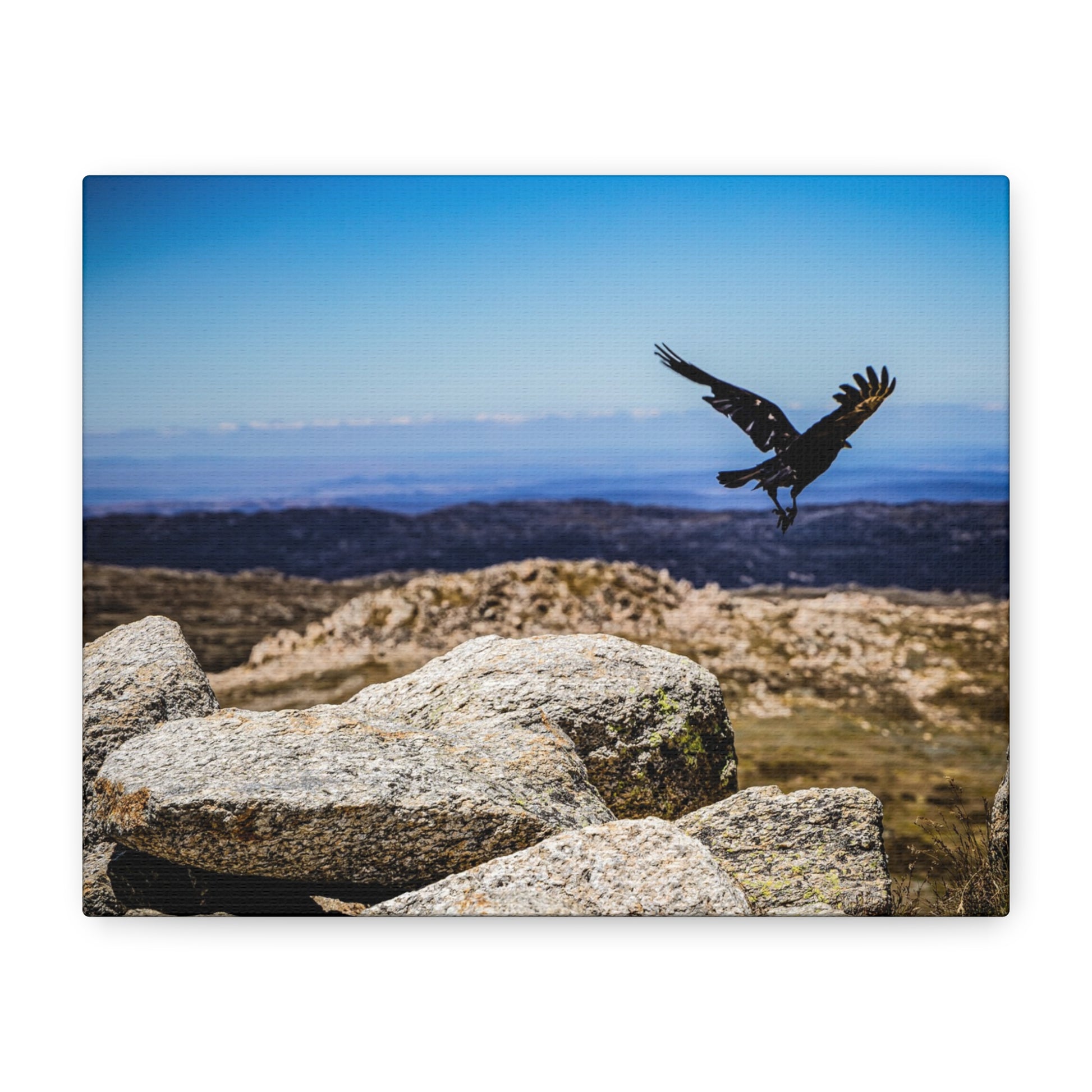 Little Raven Mt Kosciuszko Canvas Print 10" x 8" (Horizontal) 1.25"