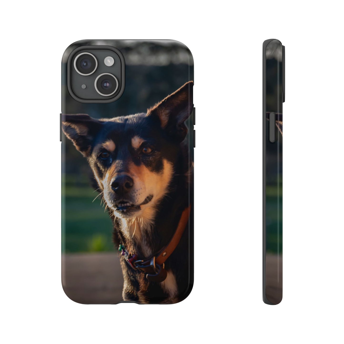 Tough Case - Saba the Kelpie iPhone 15 Plus Glossy
