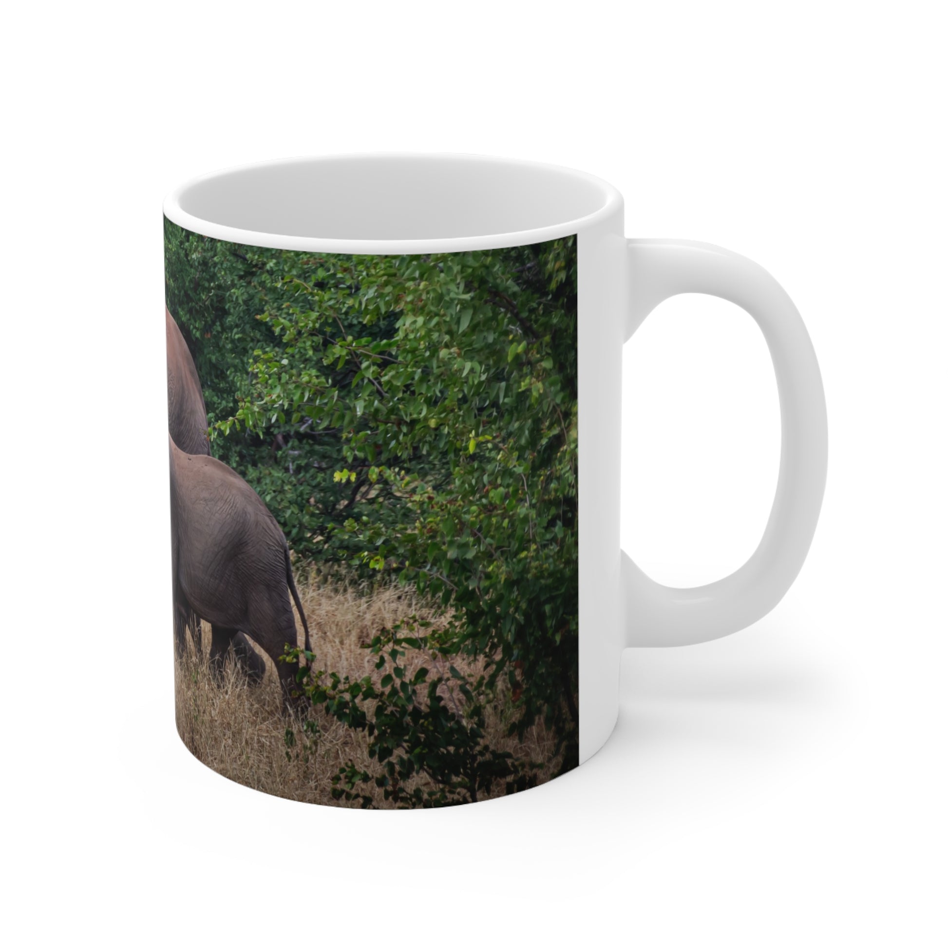 Family of Elephants Mug