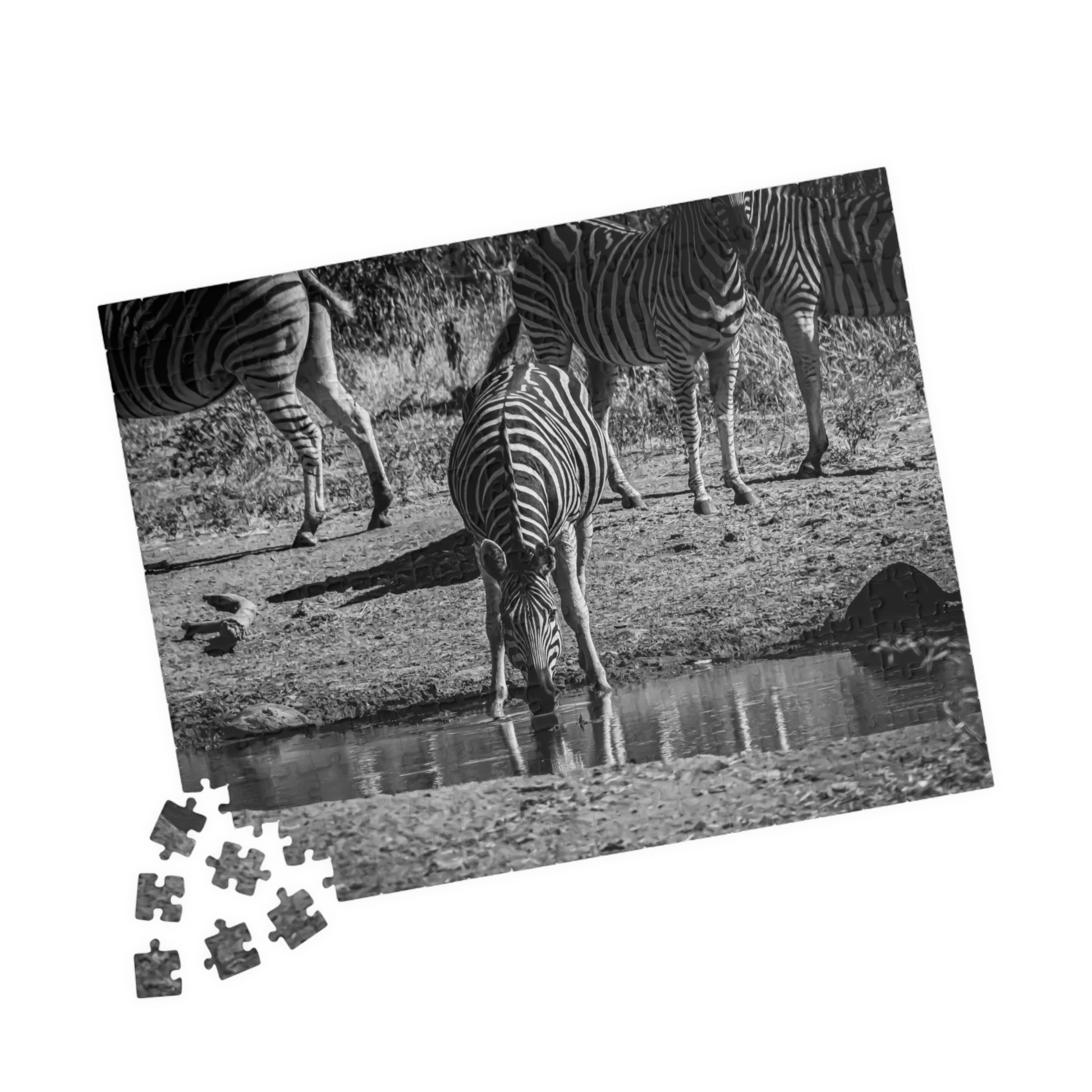 African Zebra Jigsaw Puzzle B&W