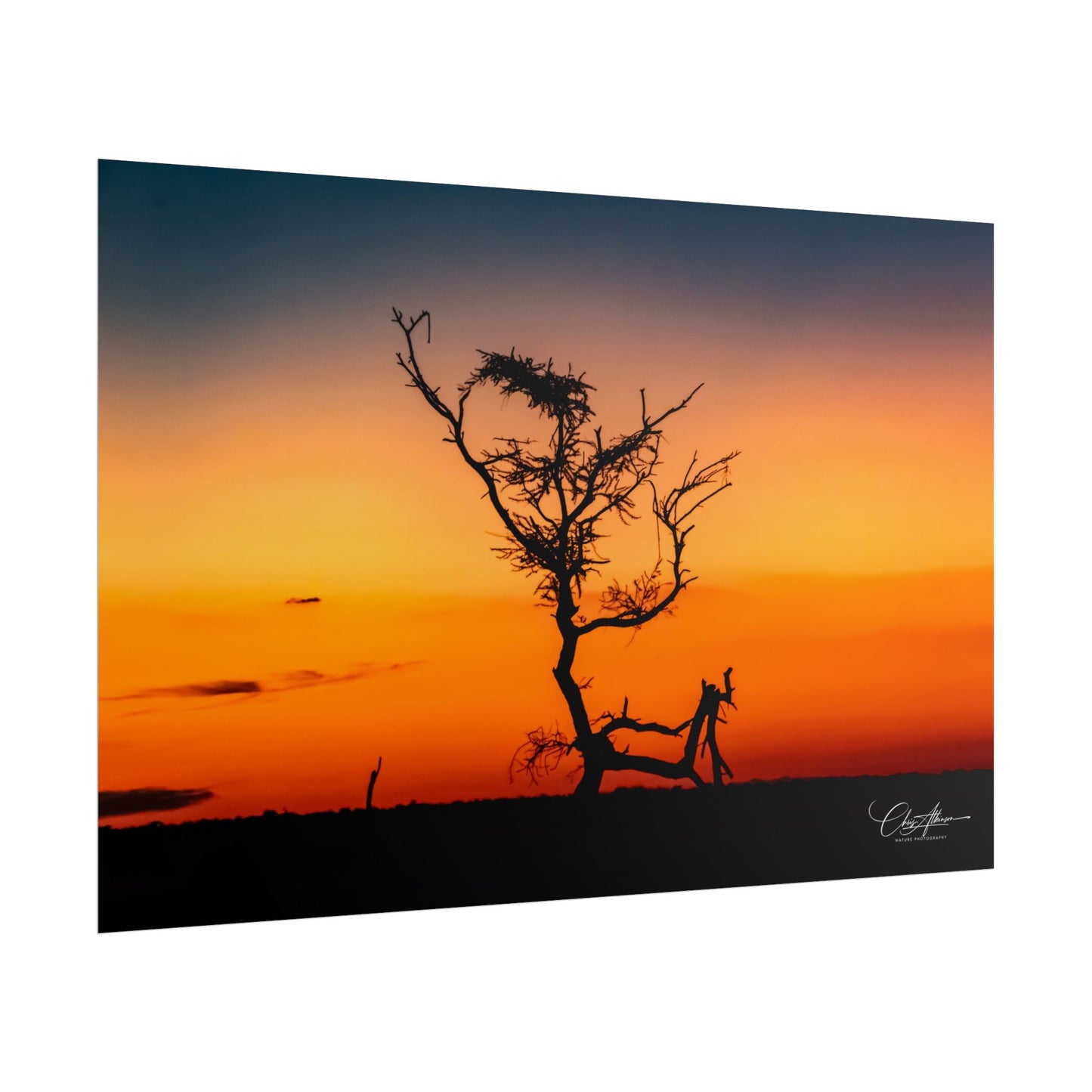 Rolled Posters - Sunset over the Kalahari