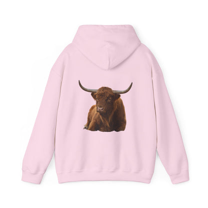 Highland Cattle Hoodie