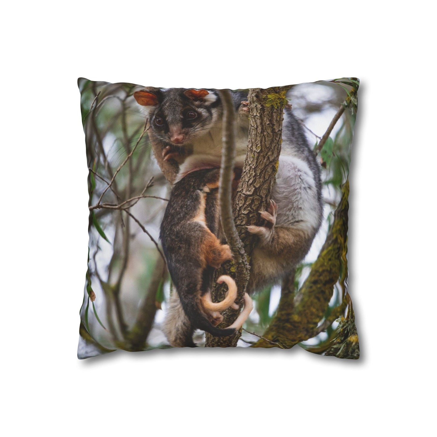 Poly Canvas Pillowcase - Possum and Joeys 16" × 16"