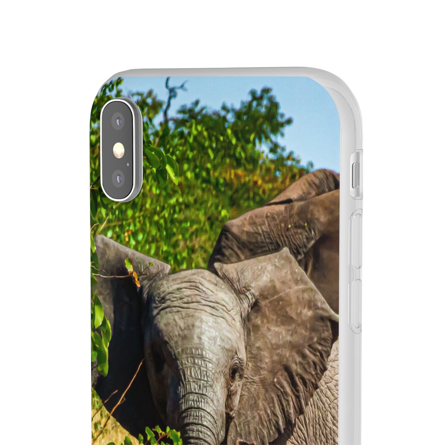 Flexible Young Elephant Cases
