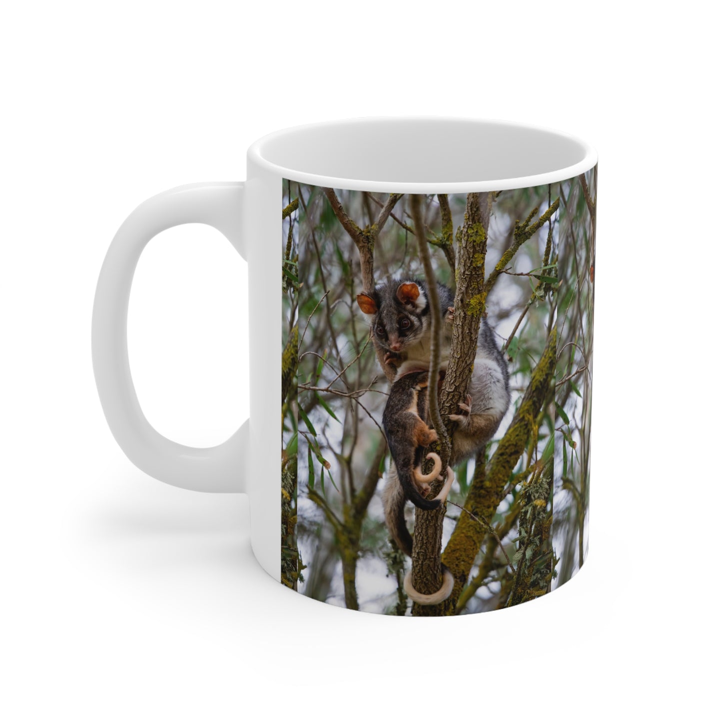 Ring-Tailed Possum Mug