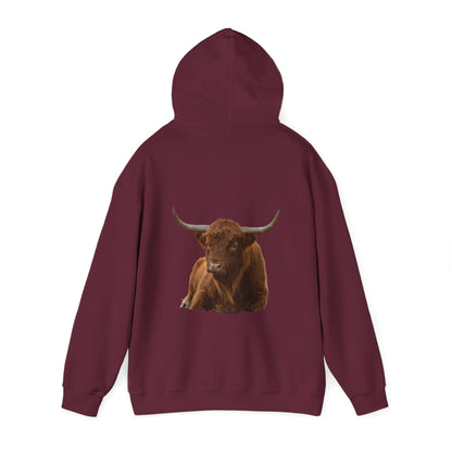 Highland Cattle Hoodie Maroon