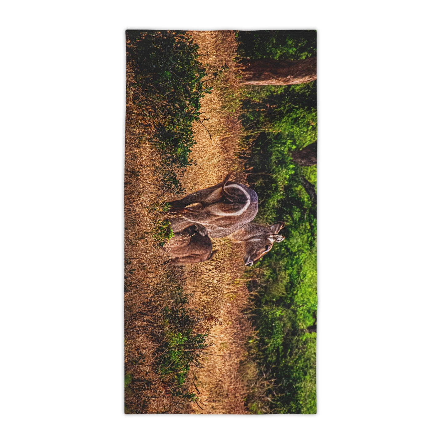 Baby Waterbuck Beach Towels 30" × 60"