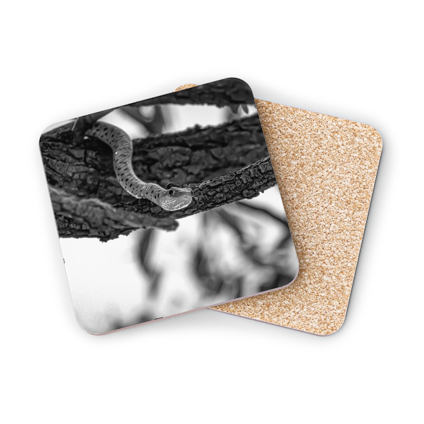 Spotted Bush Snake Coasters B&W Square 3.7" x 3.7" 1pc