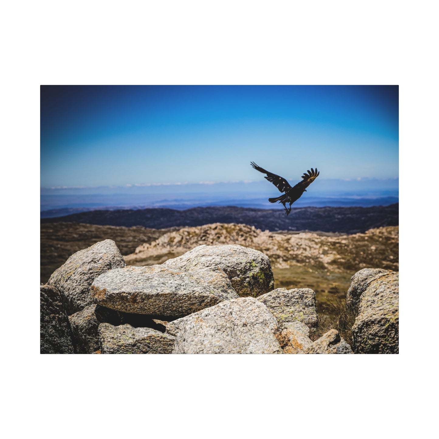 Little Raven Mt Kosciuszko Canvas Print 48" x 36" (Horizontal) 1.25"