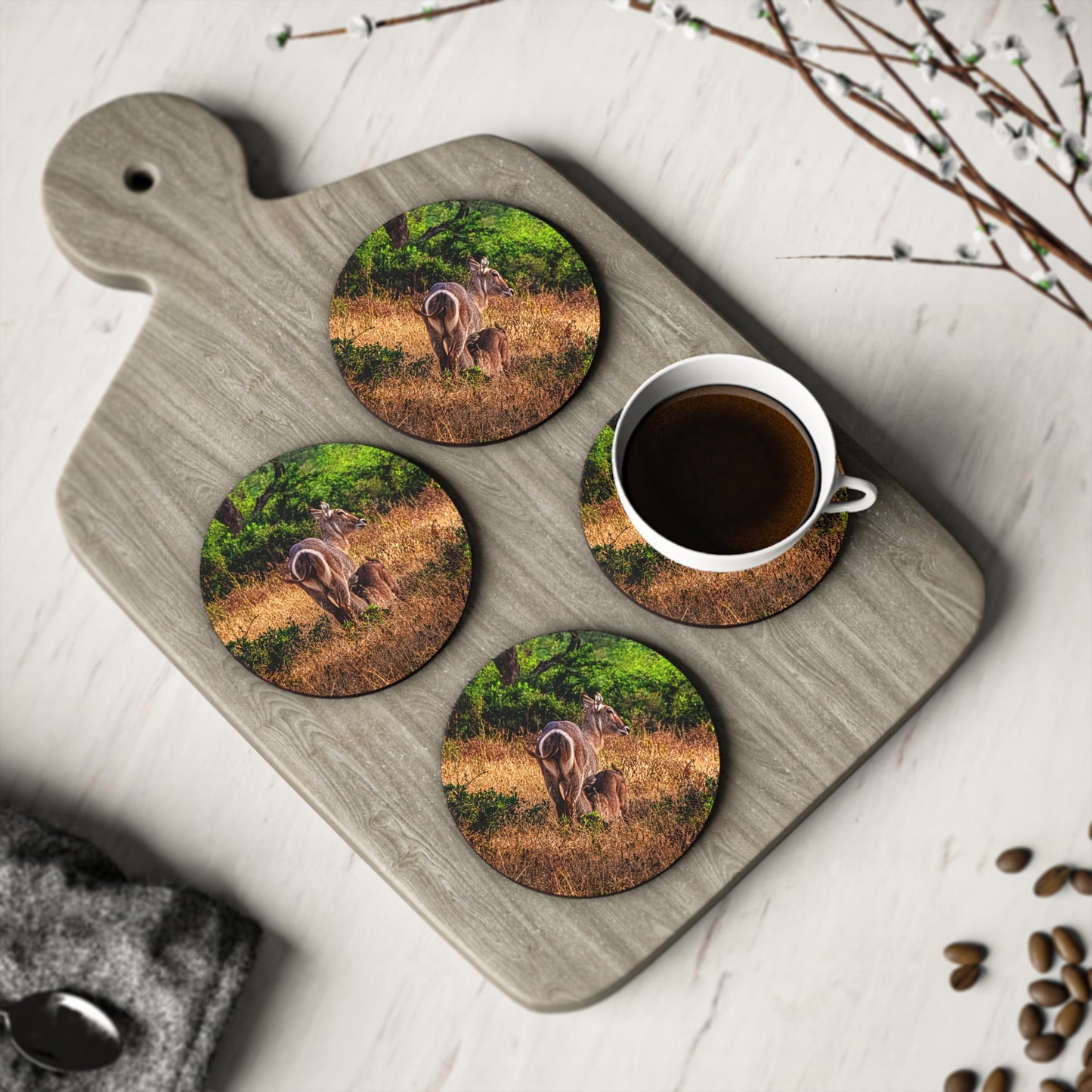 Waterbuck Baby Animal Coasters