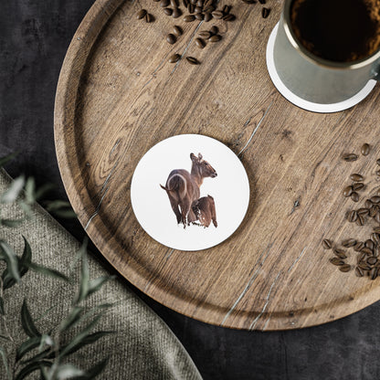 Waterbuck Baby Animal Coasters