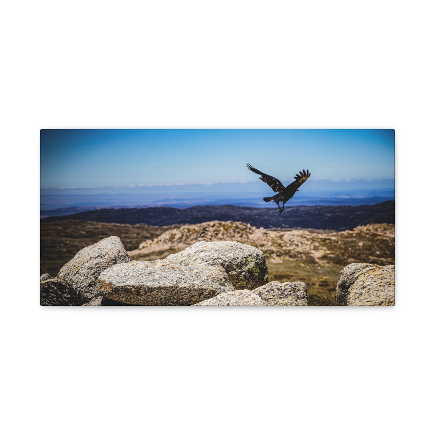 Little Raven Mt Kosciuszko Canvas Print 20" x 10" (Horizontal) 1.25"