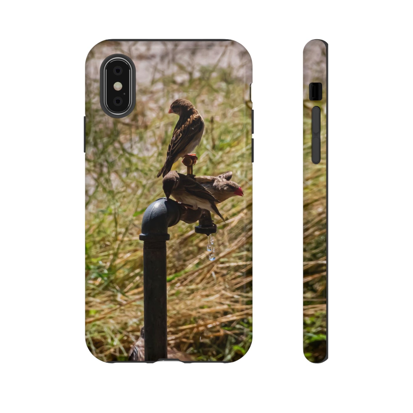 Tough Case - Birds at A Dripping Tap iPhone XS Glossy