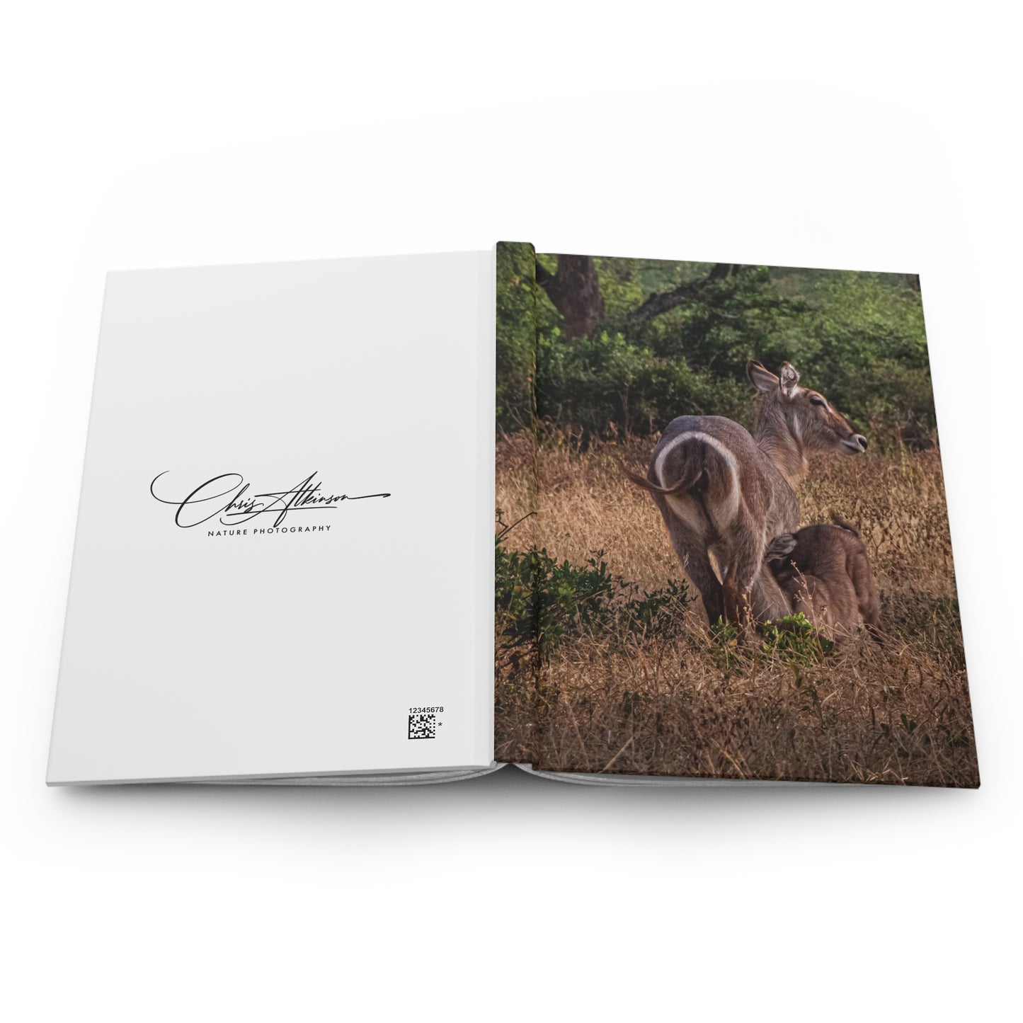 Hardcover Journal Matte - Waterbuck and Baby