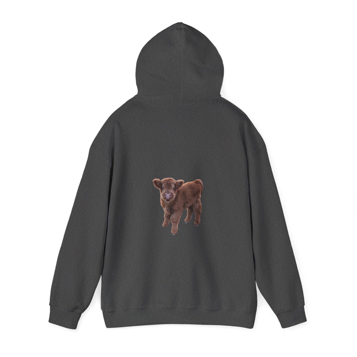 Highland Calf Hoodie