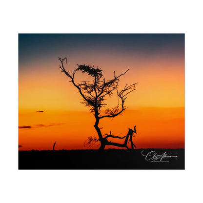 Rolled Posters - Sunset over the Kalahari