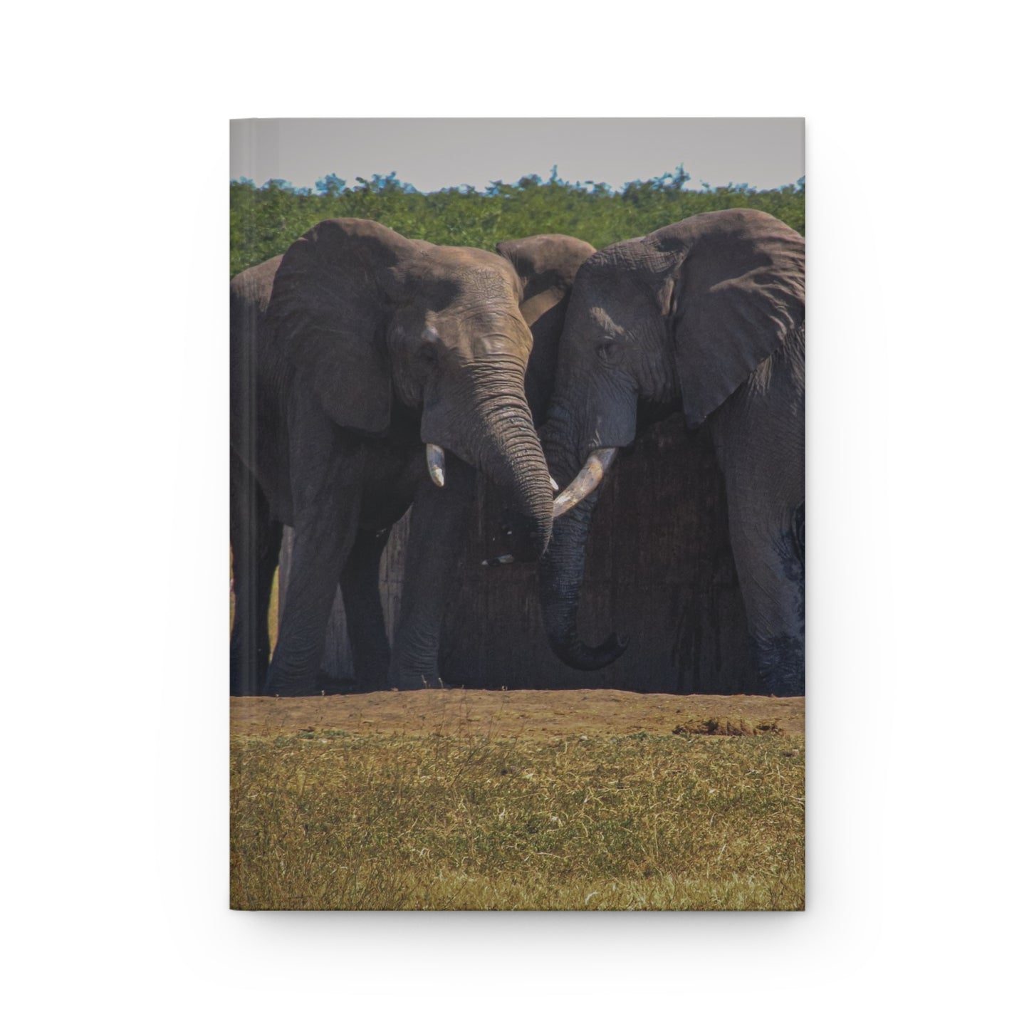 Hardcover Journal Matte - Elephant Friends