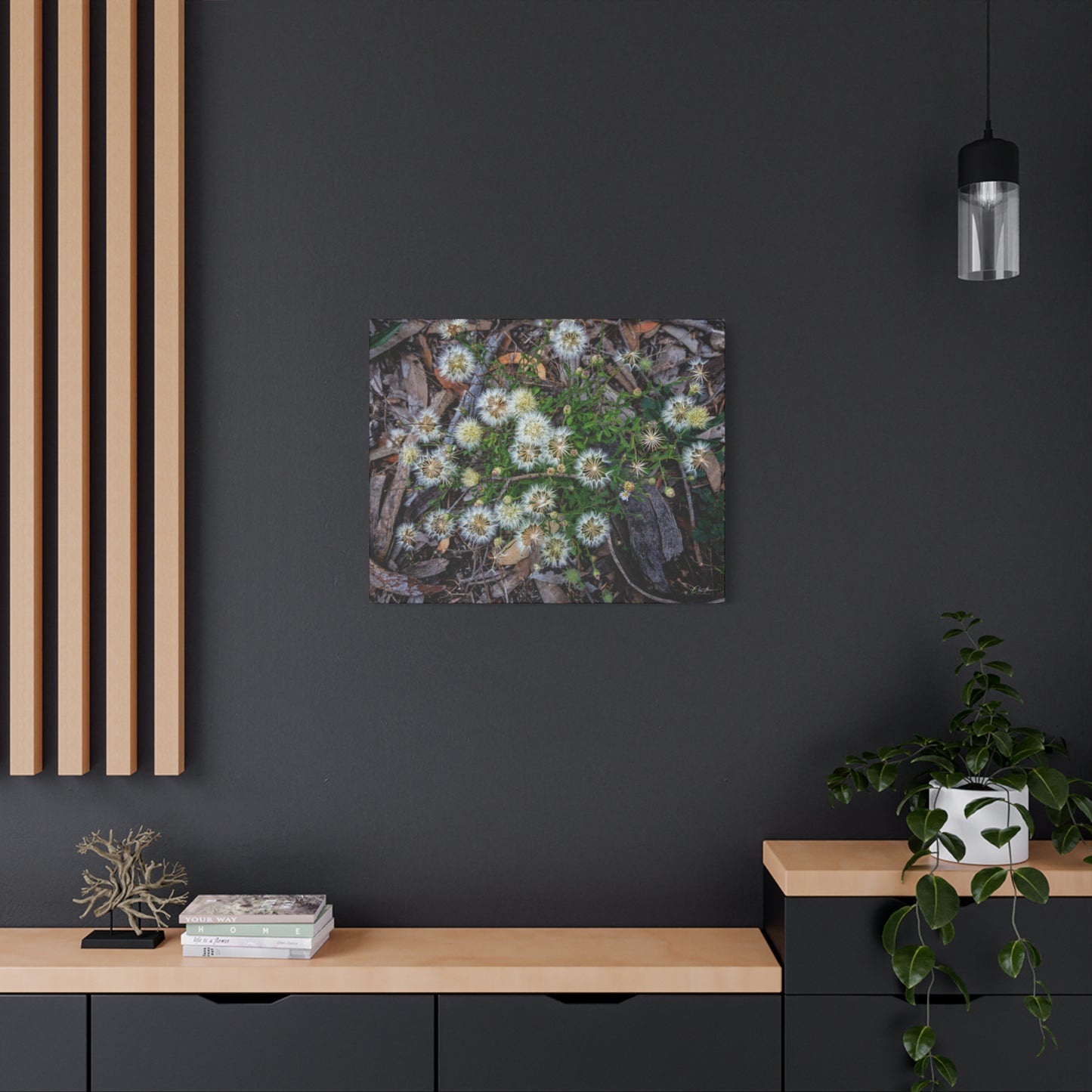 Matte Canvas, Stretched, 1.25" - Australian Wildflower Collection