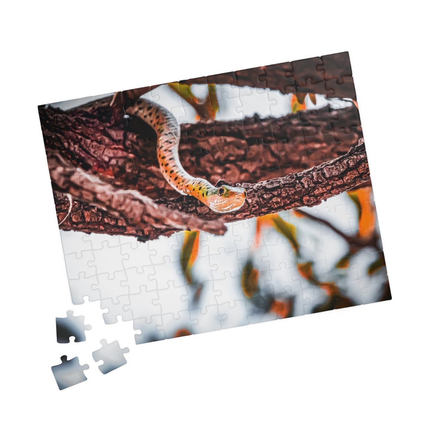 Spotted Bush Snake Puzzle