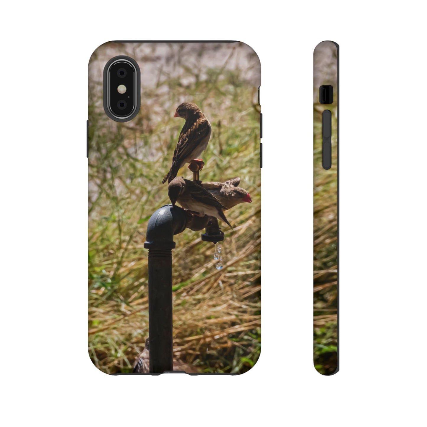 Tough Case - Birds at A Dripping Tap iPhone X Matte