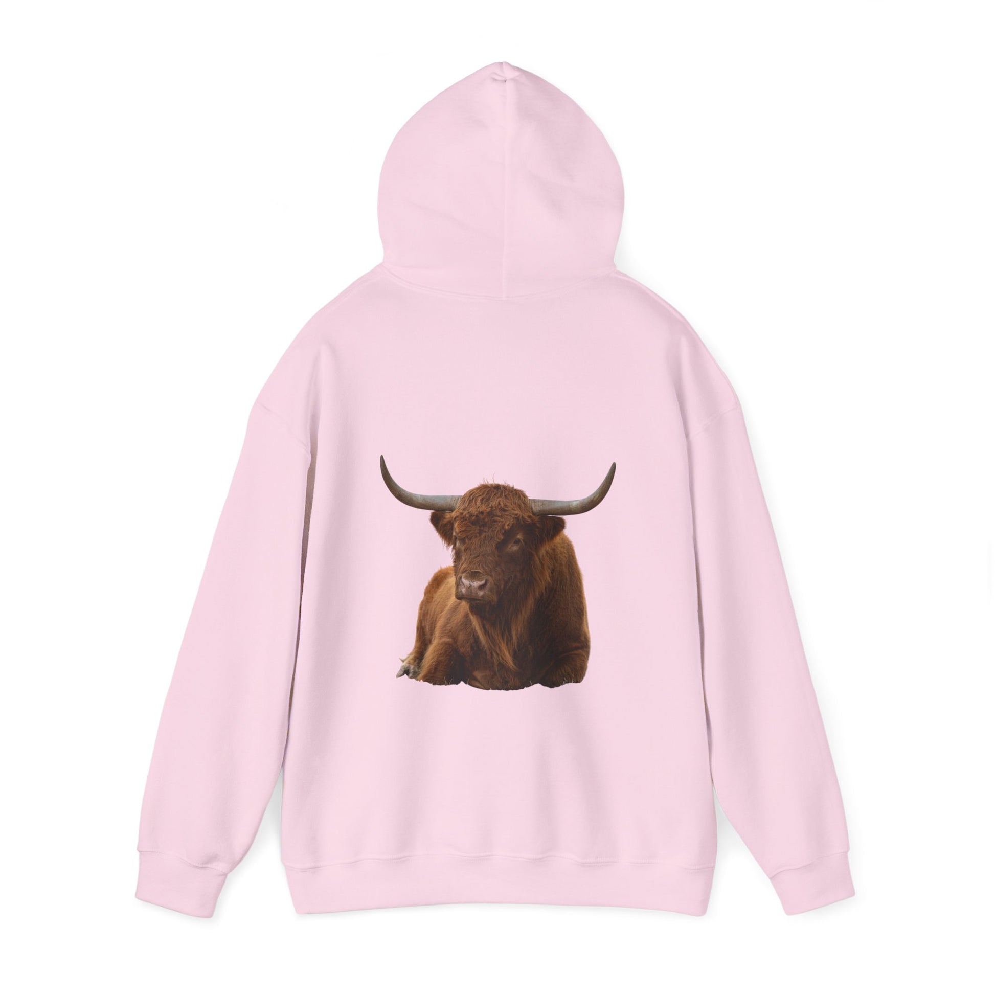 Highland Cattle Hoodie