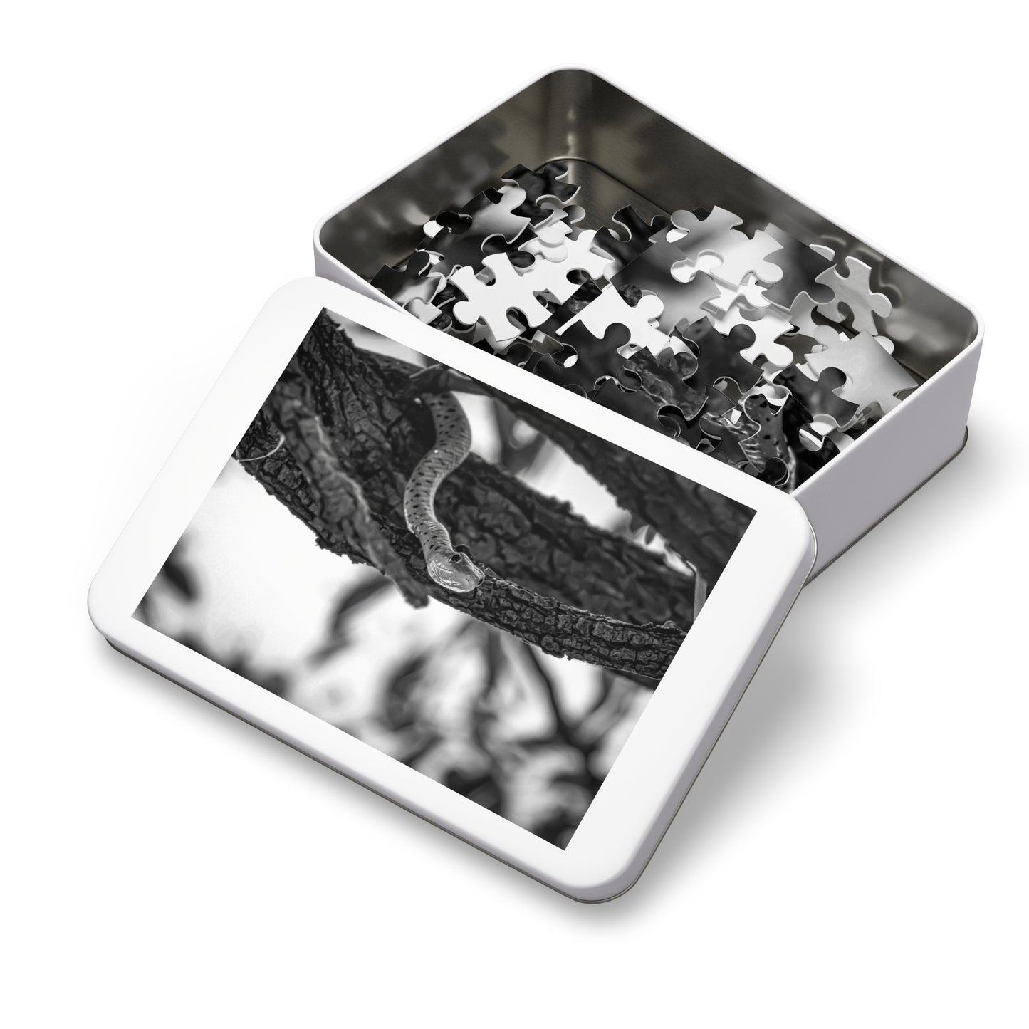 Spotted Bush Snake Puzzle with Tin B&W