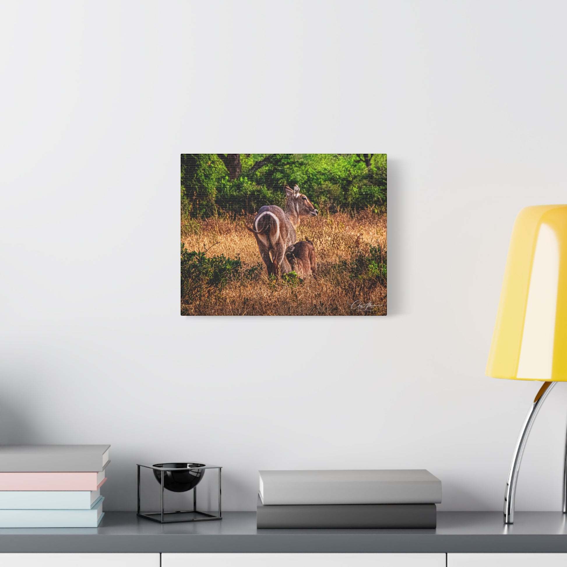 Waterbuck Nature Prints Matte Canvas