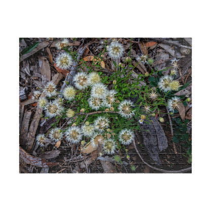 Puzzle (110, 252, 520, 1014-piece) - Australian Wildflower Collection