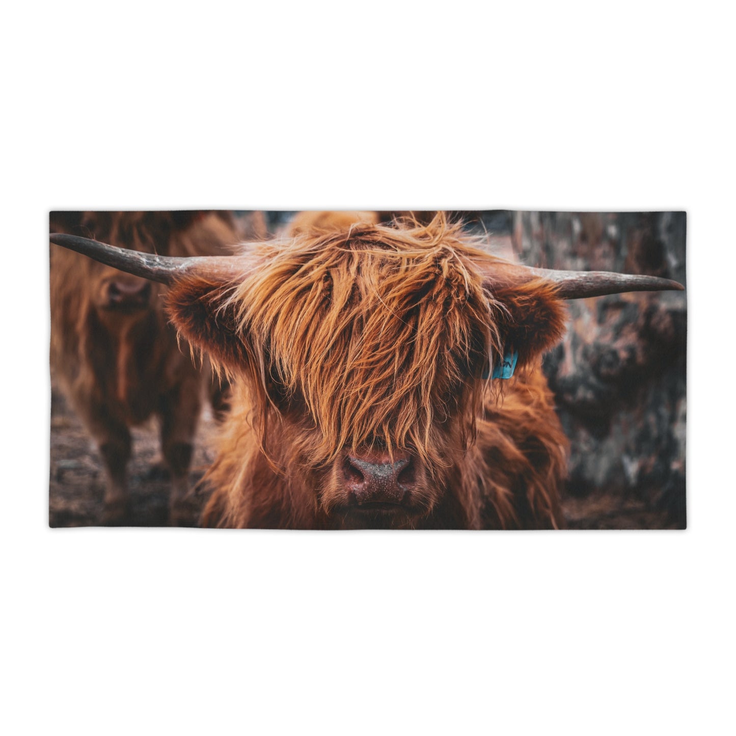 Scottish Highland Beach Towels 30" × 60"