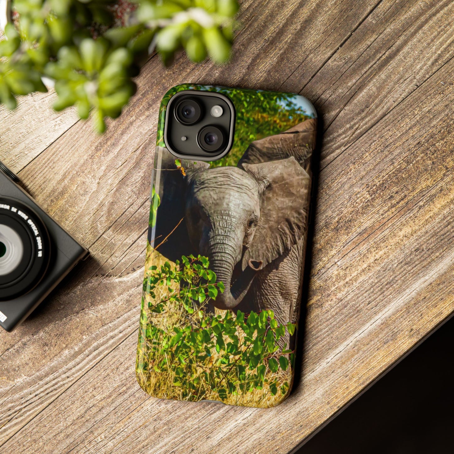 Tough Case - Young Elephant