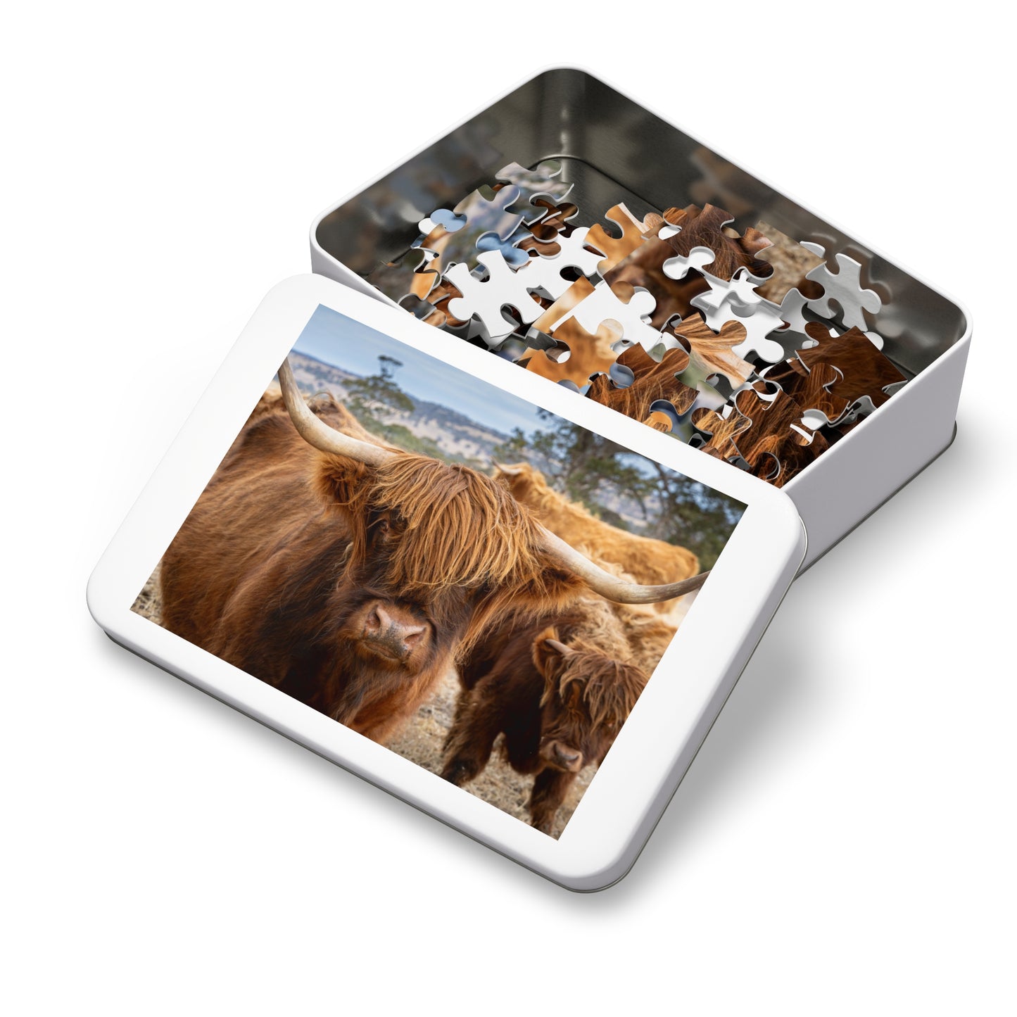 Scottish Highland Cattle Puzzle with Tin