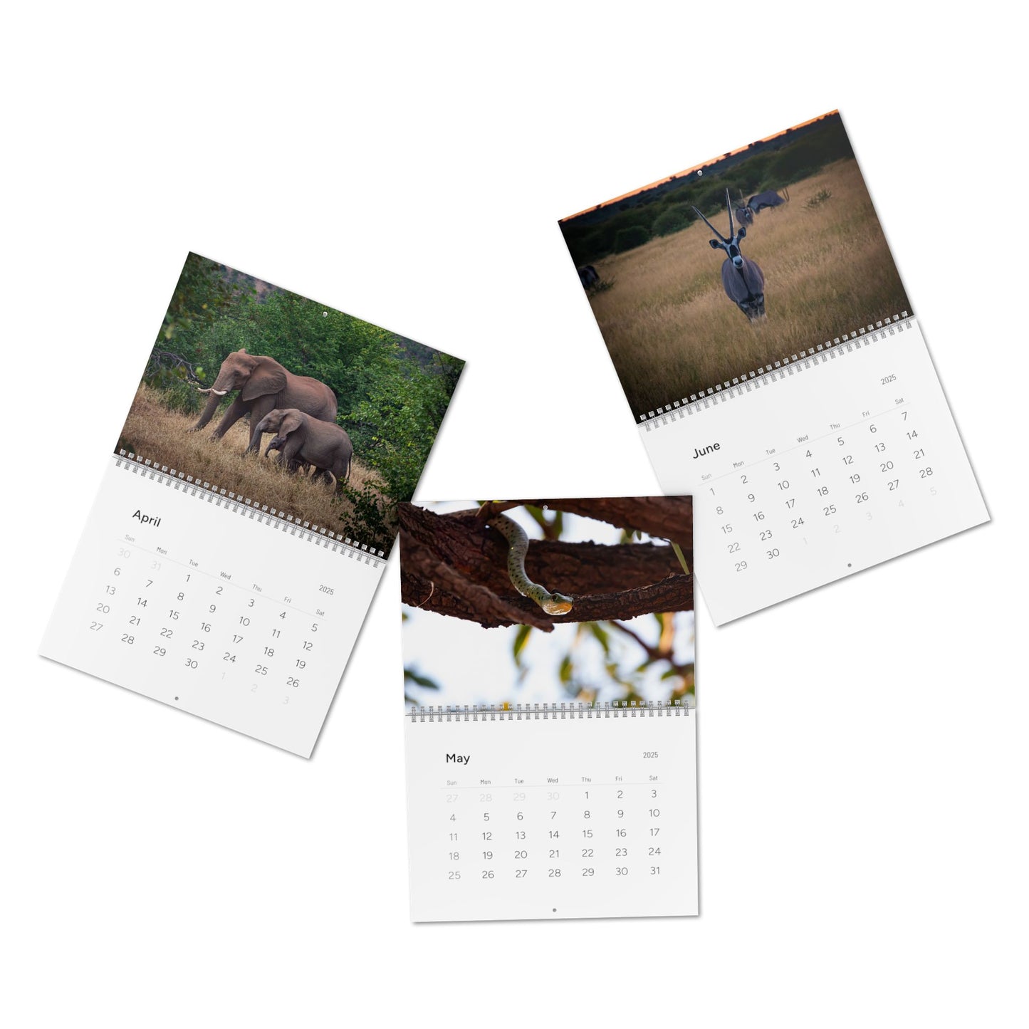 2025 Nature Wildlife Wall Calendar