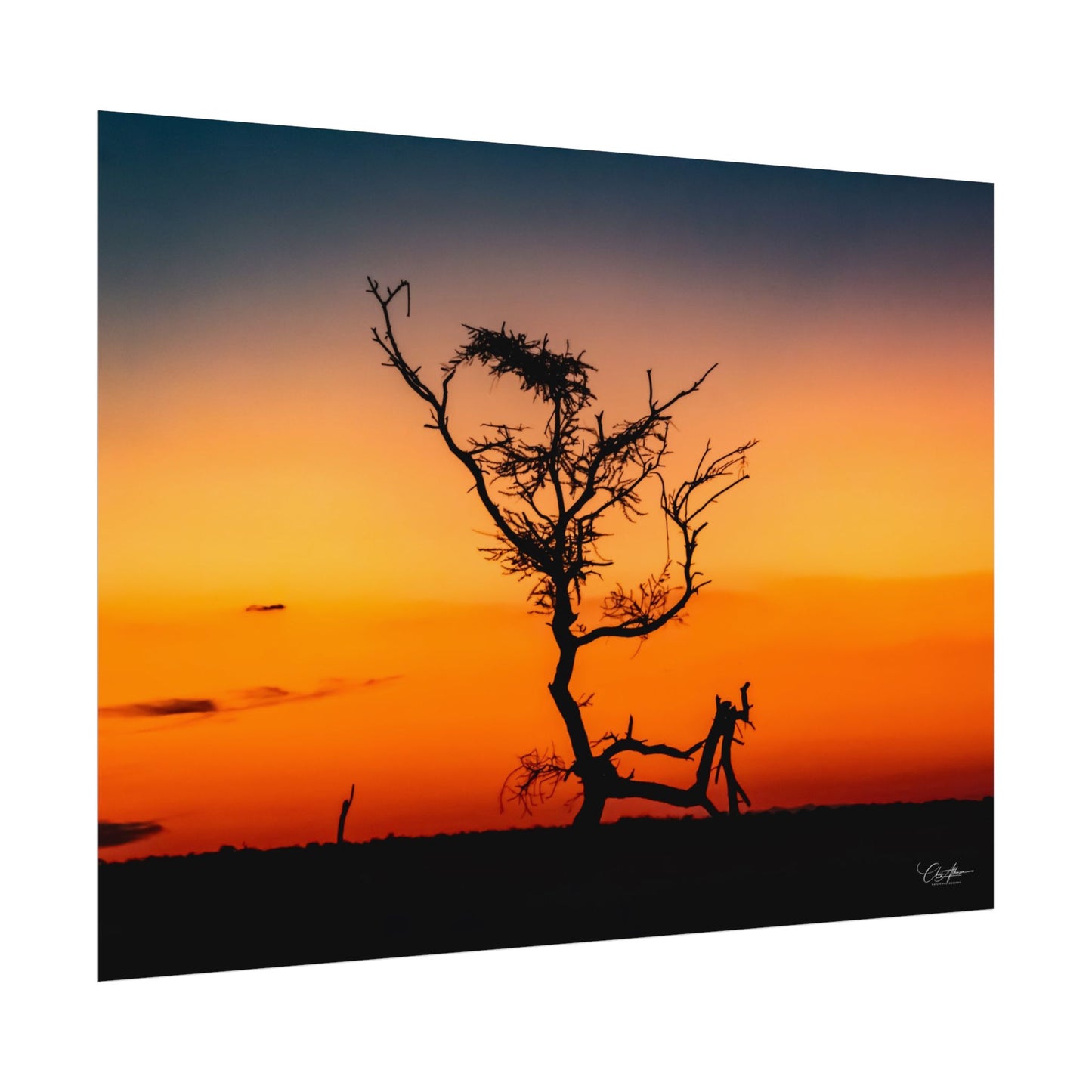 Rolled Posters - Sunset over the Kalahari