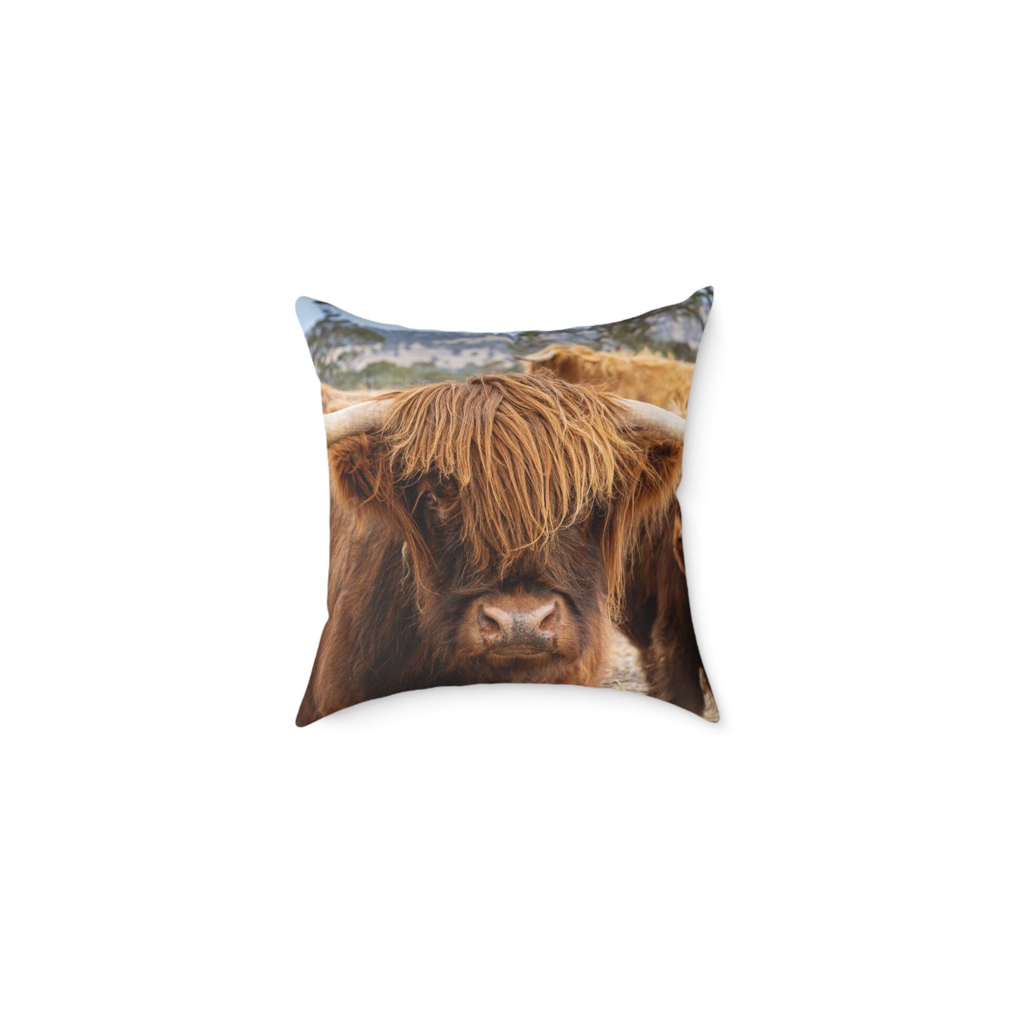 Highland Cattle Pillow 16" × 16"