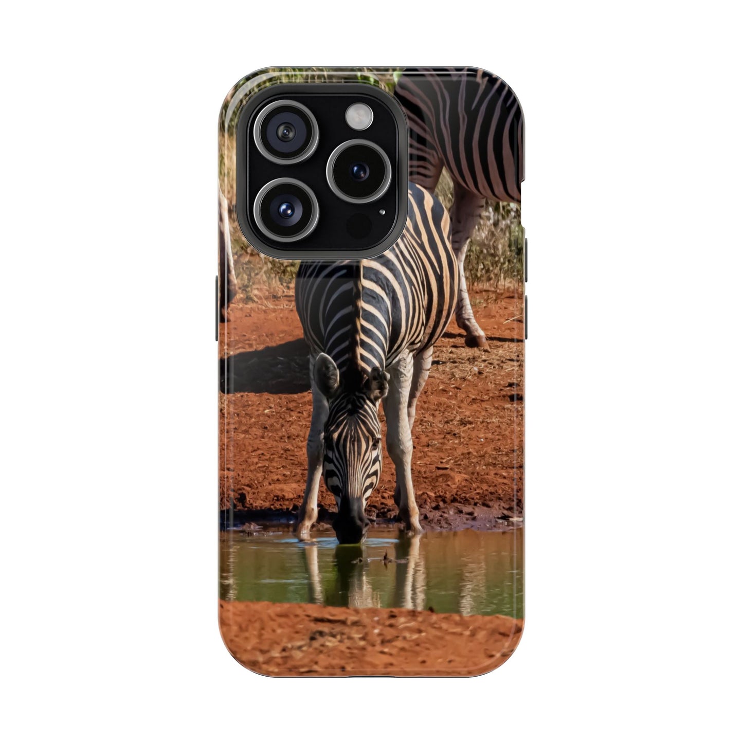 Magsafe® Compatible Tough Cases - Zebra Drinking iPhone 15 Pro Glossy