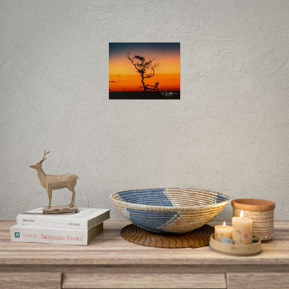 Rolled Posters - Sunset over the Kalahari 10″ x 8″ (Horizontal) Semi Glossy