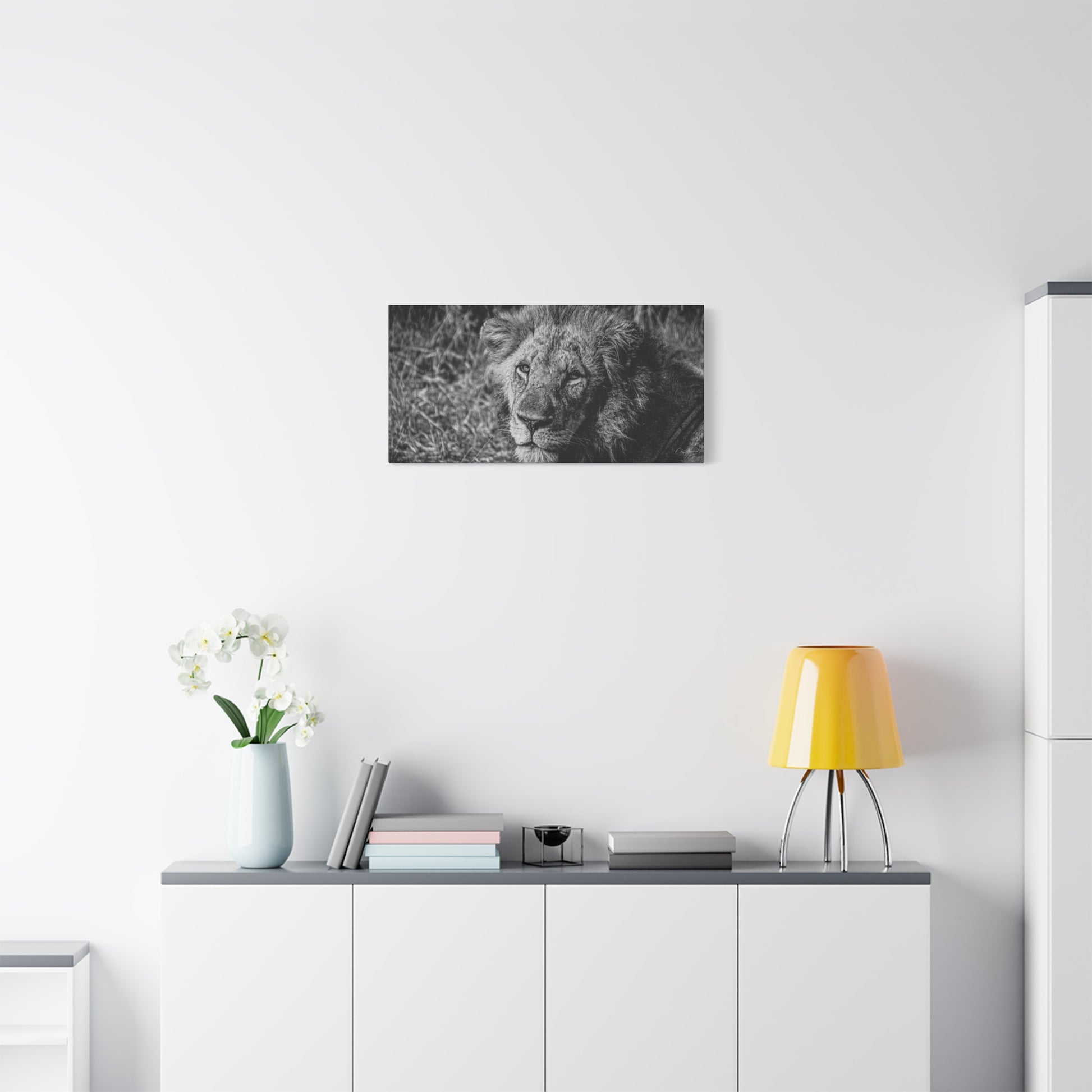 Old Lion Canvas Print B&W