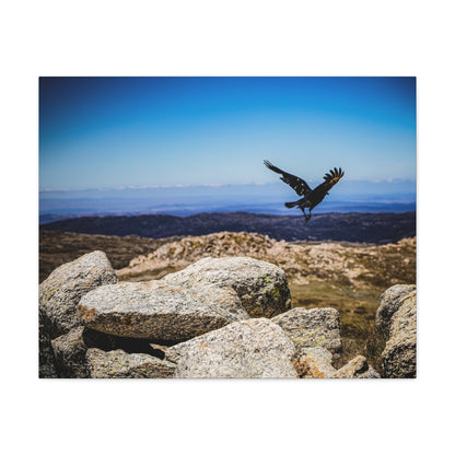 Little Raven Mt Kosciuszko Canvas Print 30" x 24" (Horizontal) 1.25"