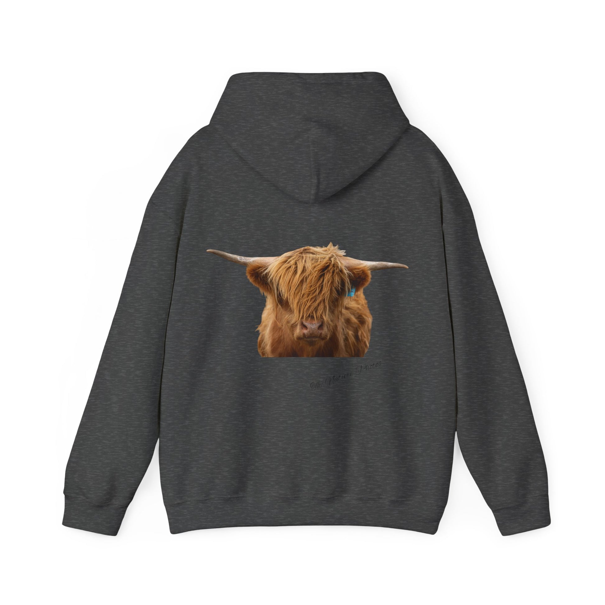 Highland Cow Hoodie