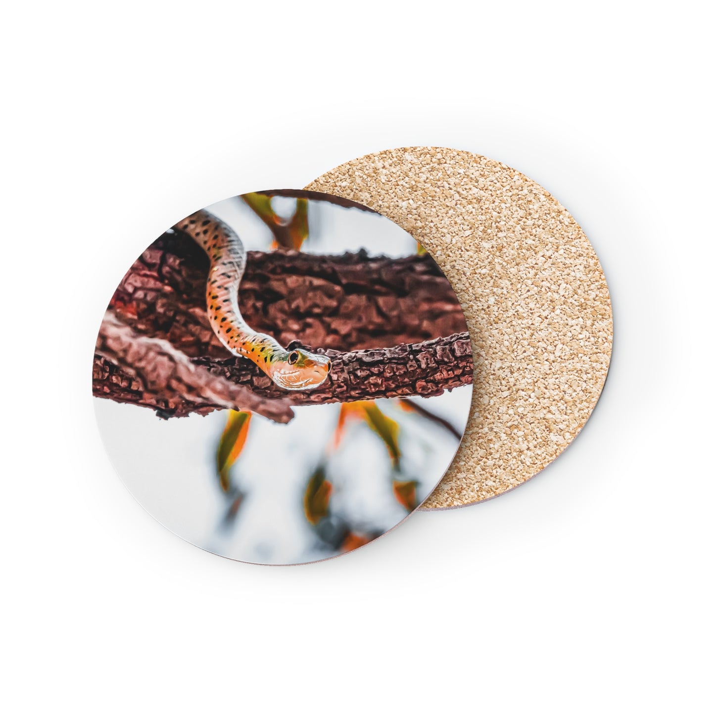 Spotted Bush Snake Coasters Round 3.7" x 3.7" 1pc