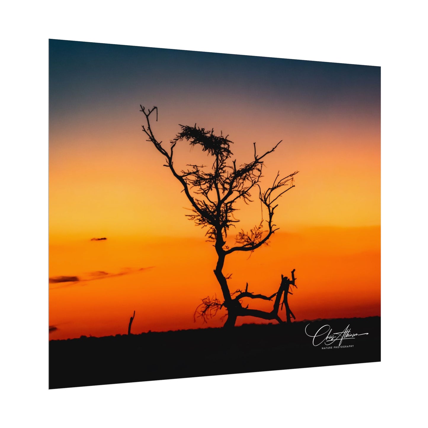 Rolled Posters - Sunset over the Kalahari