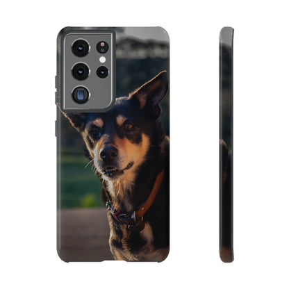 Tough Case - Saba the Kelpie Samsung Galaxy S21 Ultra Glossy